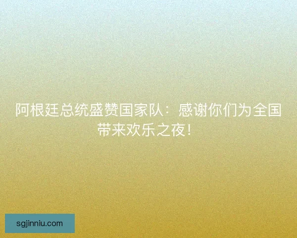 阿根廷总统盛赞国家队：感谢你们为全国带来欢乐之夜！
