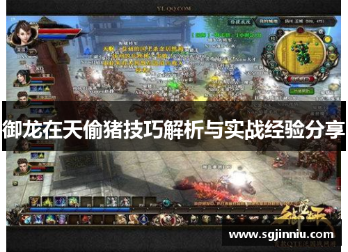 御龙在天偷猪技巧解析与实战经验分享